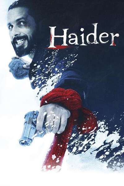 Haider Hindi Dubbed Movie Poster (2014)
