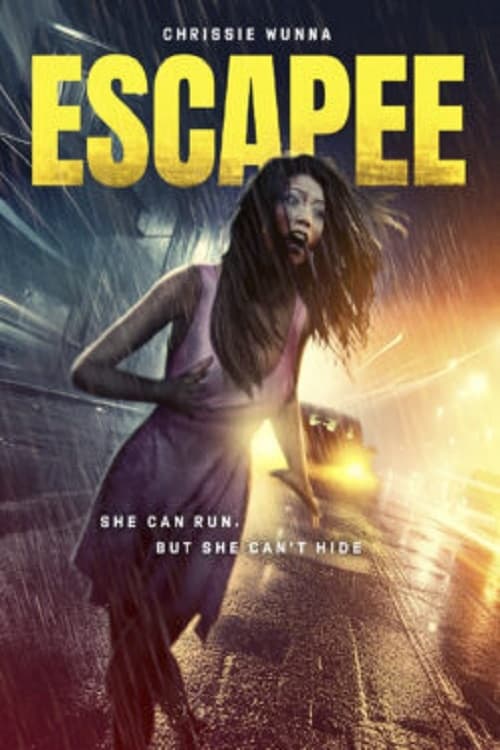 Escapee Hindi Dubbed Movie Poster (2023)