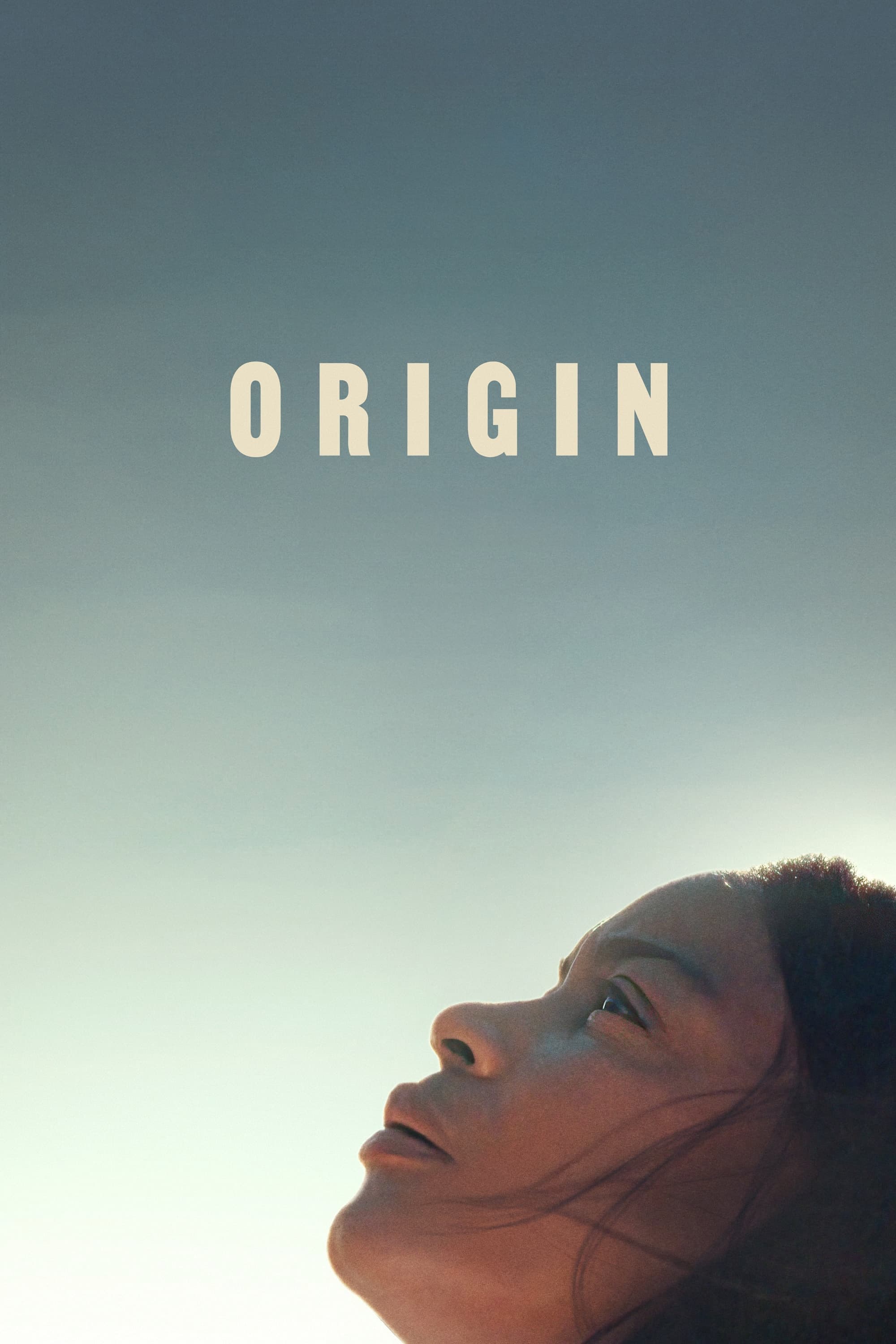 Origin Hindi Dubbed Movie Poster (2023)