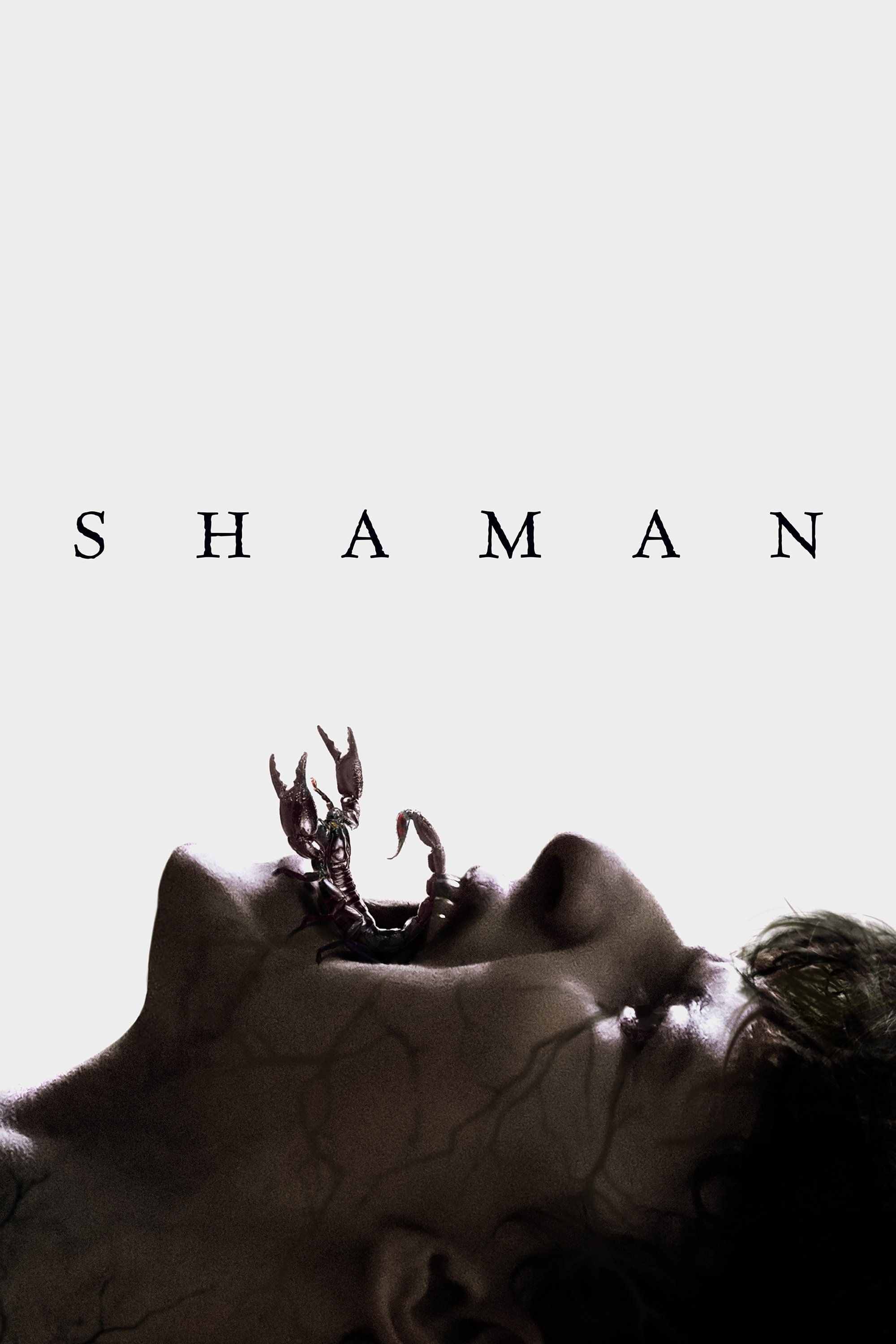 Shaman Hindi Dubbed Movie Poster (2025)