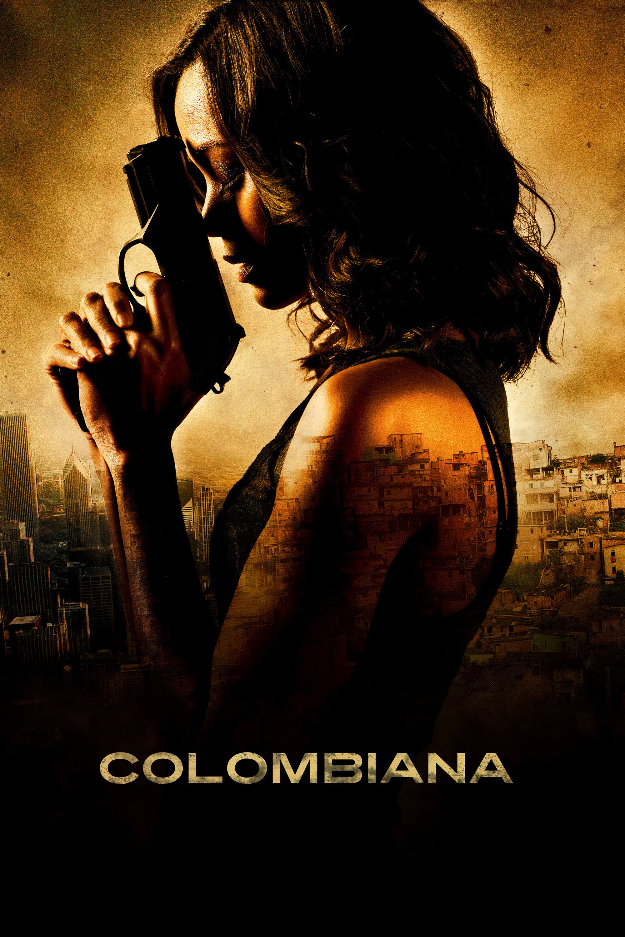 Colombiana Hindi Dubbed Movie Poster (2011)